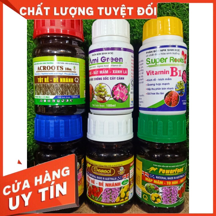 Combo 6 chai phân 🌳bón hữu cơ 🌲 Chăm sóc lan cao cấp chính hãng power feed +Sesol+Org-hum+Ami green+Super Root B1