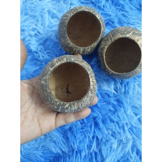Cóng dừa  đựng lúa , kê , khoáng vvv