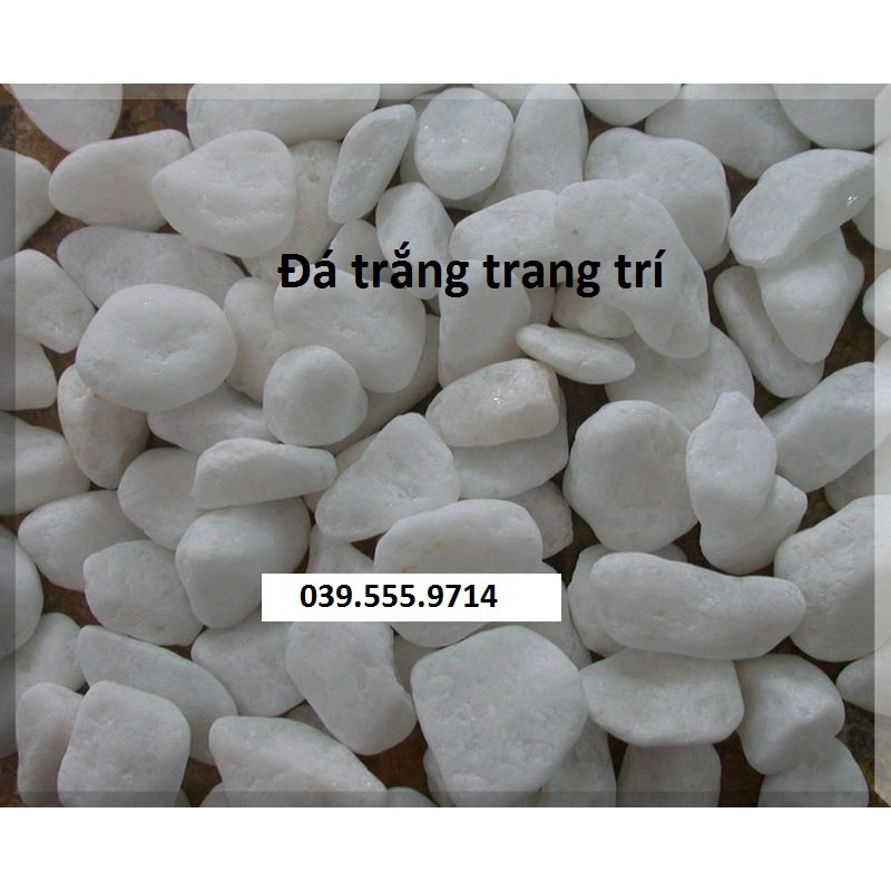 Sỏi đá trắng trang trí vườn, cây, lối đi 1kg