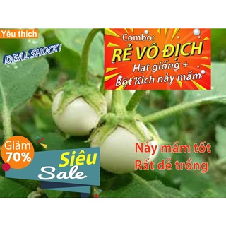 Gói 30 hạt giống cà pháo xanh - [Combo rẻ vô địch HẠT GIỐNG + BỘT KÍCH NẢY MẦM]