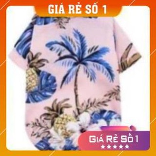Combo đổ sỉ từ 5 sản phẩm áo mùa hè cho chó mèo 1-8kg