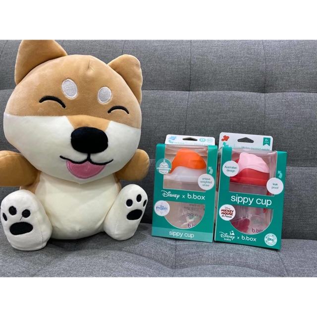 Bình tập hút nước BBox