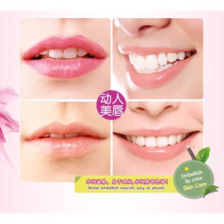 Son dưỡng Acrylic thạch Bioaqua