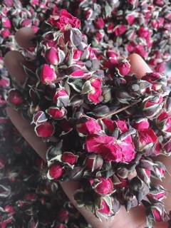 Trà nụ hoa Hồng gói Dùng thử