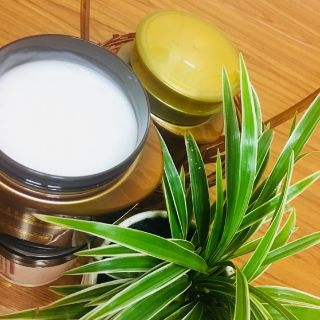 (CHÍNH HÃNG) Hấp dầu Collagen Phục hồi tóc KENISEE 500ml