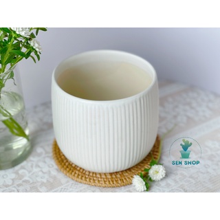 Chậu men trồng cây màu pastel .