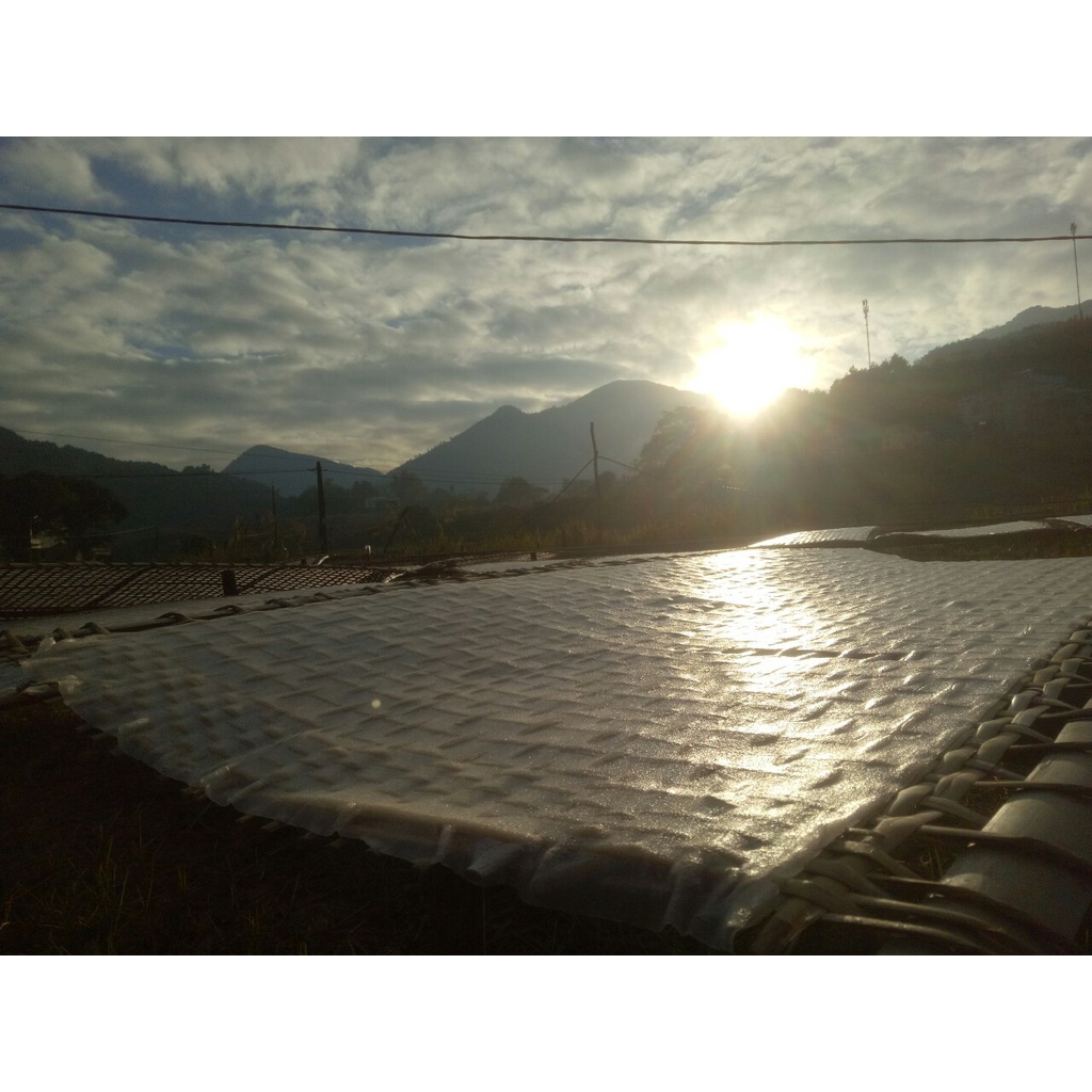 Đặc sản miến dong Bình Liêu, OCOP Quảng Ninh, 100% nguyên chất từ củ Dong riềng | BigBuy360 - bigbuy360.vn