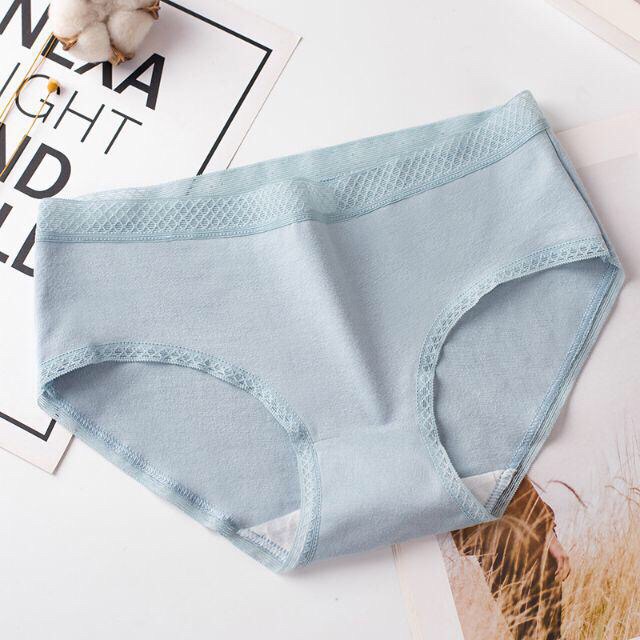 10 Quần lót nữ cotton cao cấp QR02