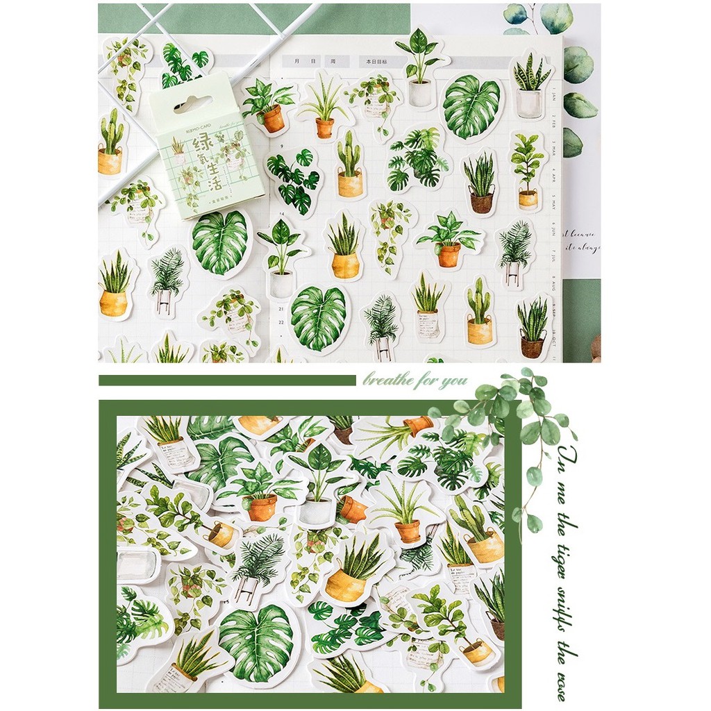 Bộ 45 miếng dán hình cây xanh mini dành cho trang trí sổ tay nhật ký DIY 4 | BigBuy360 - bigbuy360.vn