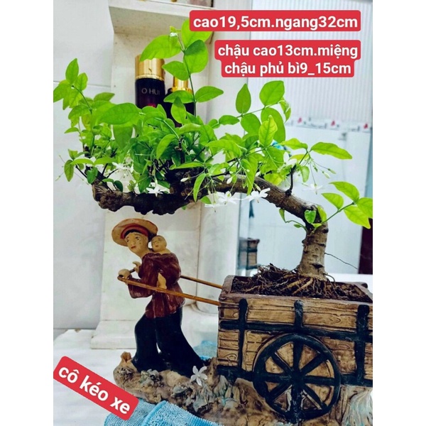 Chậu tượng mẹ địu con kéo xe trồng cây, trang trí tiểu cảnh cực đẹp