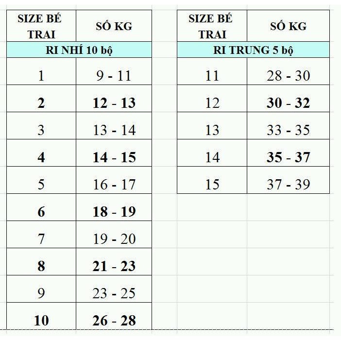 Quần áo trẻ em xuất khẩu cao cấp - Bộ thun bé trai in hình số 5 thương hiệu Veco