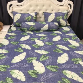 Bộ Drap Thun Hàn Quốc mát lạnh 4 món