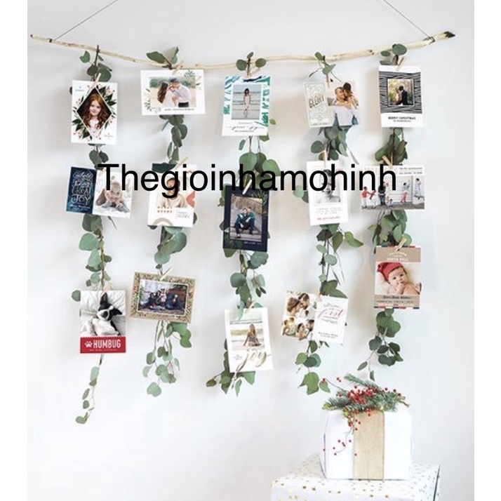 Cành gỗ treo ảnh decor trang trí không gian