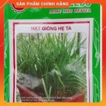 HẠT GIỐNG HẸ TA GÓI 10G