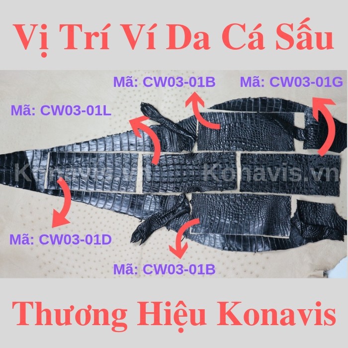 Ví da cá sấu Fadoda  cao cấp dạng ngang làm từ vân lưng thiết kế 3 ngăn có khóa riêng - FCW03-03L