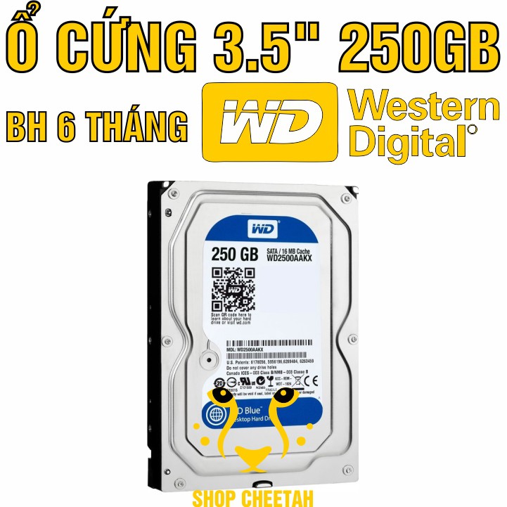 Ổ cứng 250GB Western Digital HDD 3.5” - Chính Hãng – Bảo hành 6 tháng – Tháo máy đồng bộ mới 99% - HDD WD xanh