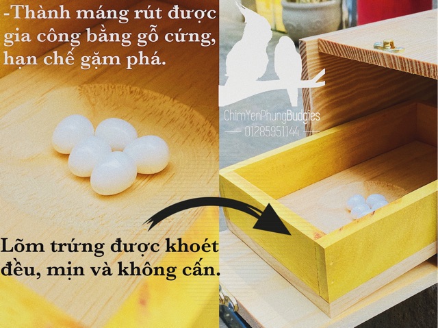 Tổ đẻ chim Yến Phụng có ngăn rút &amp; ốp vòng kim loại.