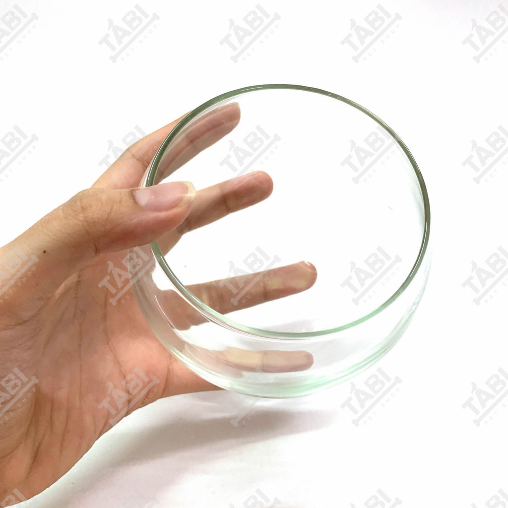 Hồ Cá MINI HT-04 Size 10x8CM - Chậu Thuỷ Tinh Nuôi Cá, Trồng Cây Mini [HT4]