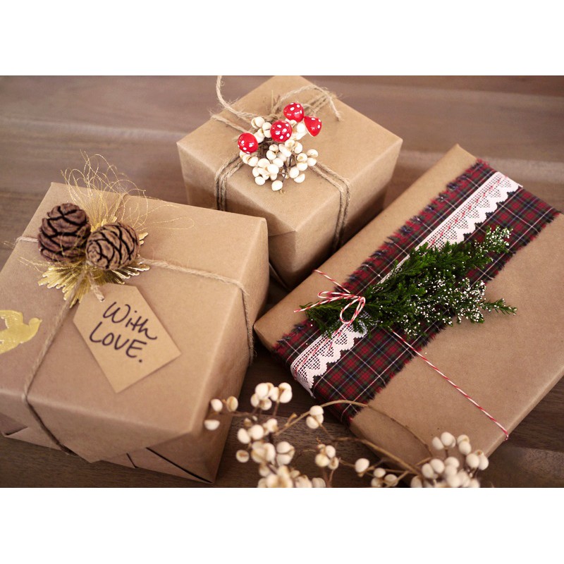 Cuộn 100m dây thừng