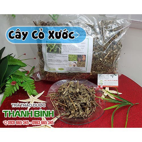 Cây cỏ xước 500gr - Ngưu tất nam (Tươi - khô) - Thảo Dược Thanh Bình