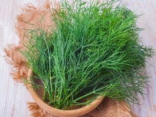 Hạt giống thì là 20g