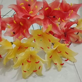 Com Bo  dụng  cụ  làm  hoa vải  voan