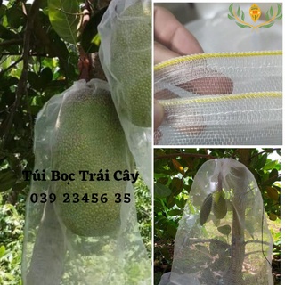 Combo 100 cái túi lưới cước thái bao bọc trái mít - túi bọc trái cây