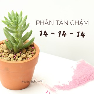 Phân tan chậm cho sen đá