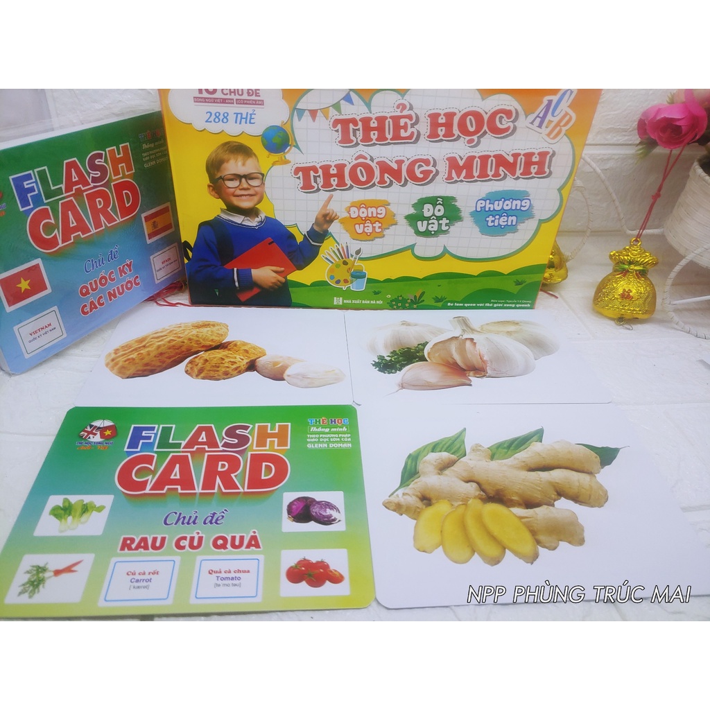 Bộ Thẻ Học Thông Minh Glenn Doman Flashcard 18 chủ đề nâng cấp từ 16 chủ đề lên 288 thẻ giá không đổi