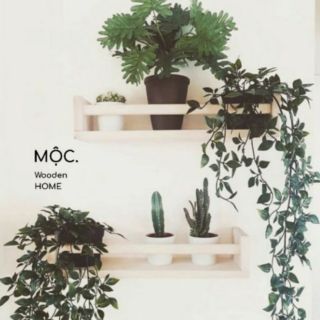 KỆ CHỮ U RÁP SẴN ( KÈM PHỤ KIỆN ĐINH VÀ TẮC KÊ)