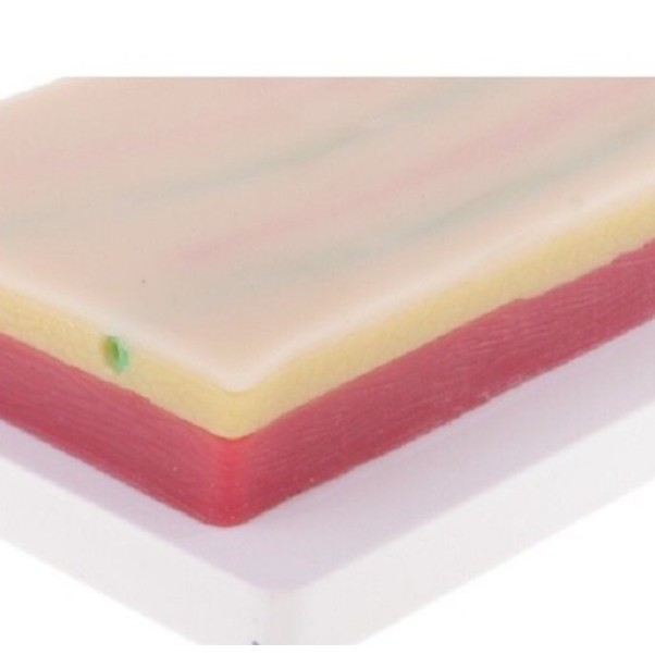 MÔ HÌNH Da Sillicon thực hành PHẪU THUẬT, Tiêm TRUYỀN DỊCH TẶNG kim và ống tiêm