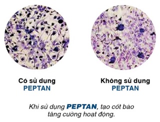 Jex Max 30 viên (hàng chính hãng USA)