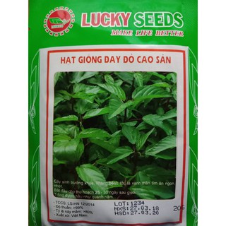 Bộ gói hạt giống rau Đay đỏ