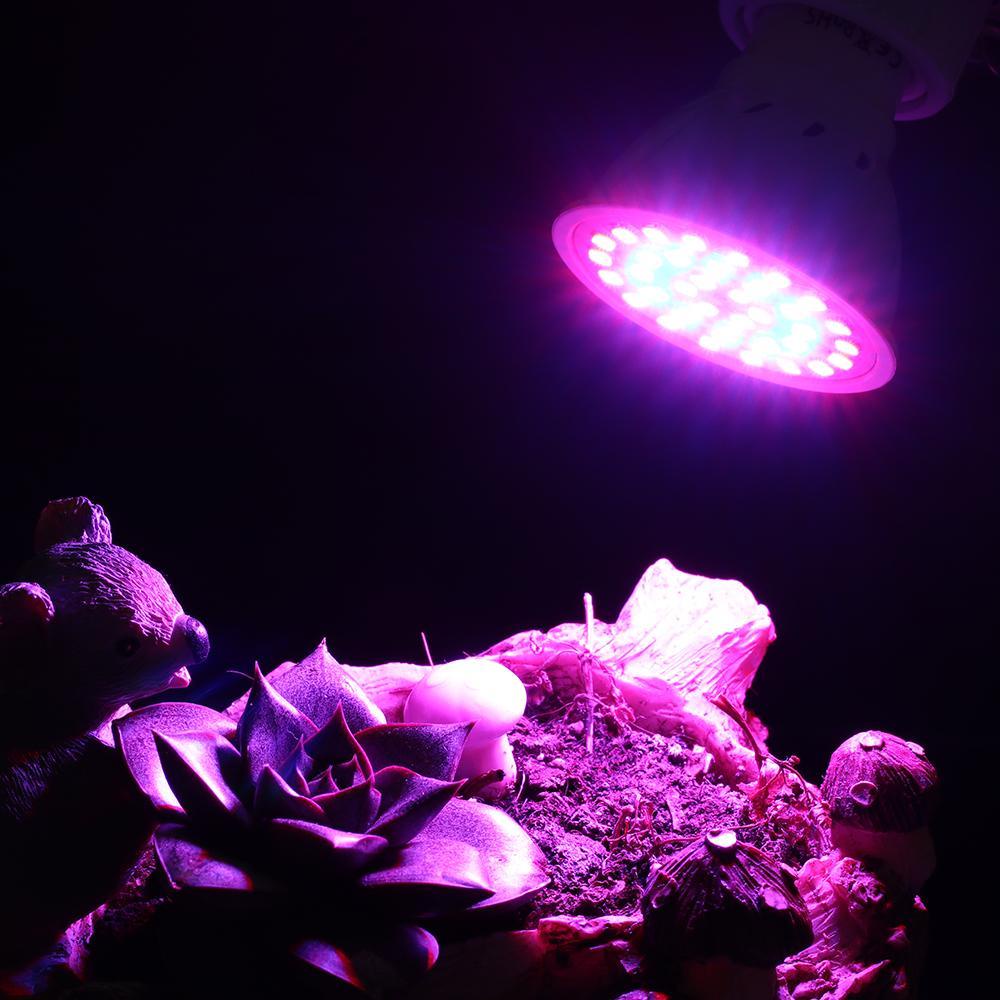 SUENIN Bộ Dụng Cụ Cung Cấp Năng Lượng Cho Hồ Cá E27 / GU10 / MR16 36 / 54 / 72LED