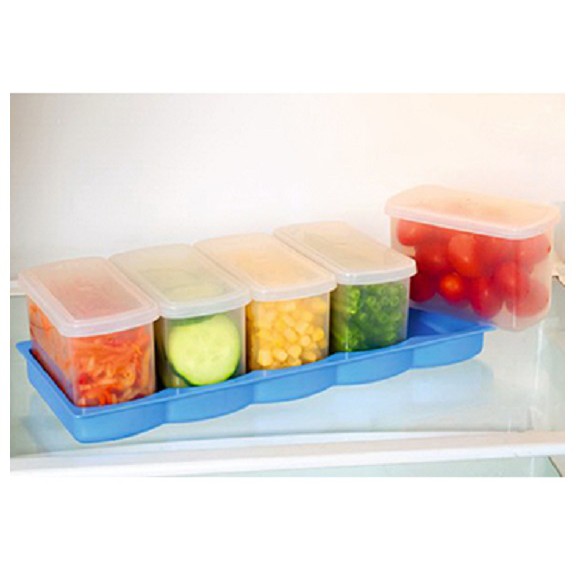 Bộ 5 hộp đựng thực phẩm để trong tủ lạnh Tashuan TS-3179