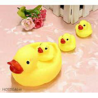 VỊT CON THẢ BỒN TẮM CÓ CÒI