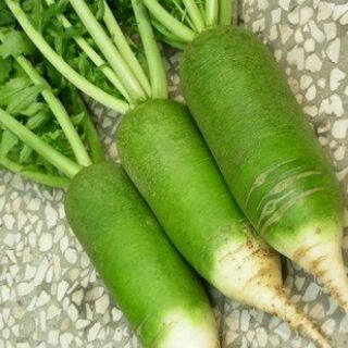 Củ cải đường xanh