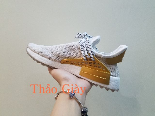 Giày thể thao human gold