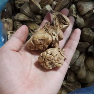 Quả dứa dại khô 500g