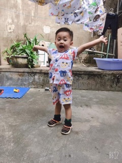Combo 6 bộ cotton giấy có cúc