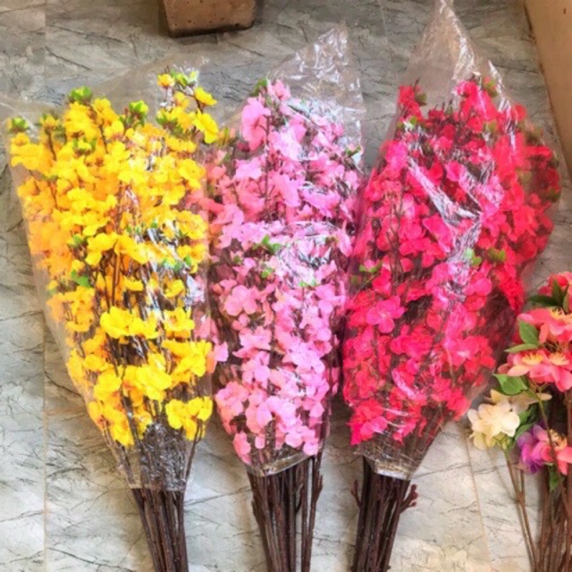Cành Hoa Anh Đào