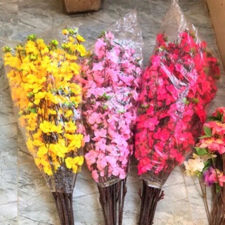 Cành Hoa Anh Đào
