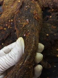 Khô bò miếng 200gr