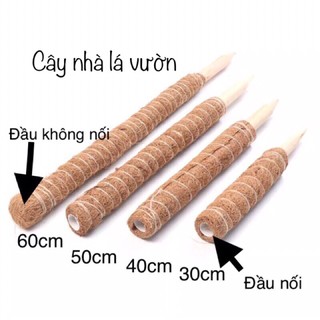 set 5 trụ cột xơ dừa trồng cây leo bám cột.