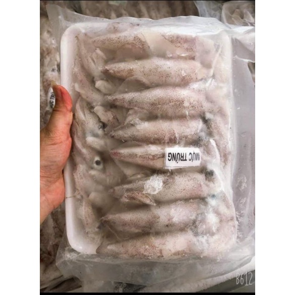 Mực trứng tươi nha trang siêu ngon size 15-20con / vỉ ,dễ dàng chế biến nhiều món ăn ngon(giao siêu tốc tphcm) | BigBuy360 - bigbuy360.vn