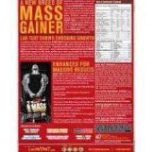 Túi Dùng Thử Mutant Mass Sữa Dinh Dưỡng Tăng Cân Nhanh Mutant Mass 1Kg - Usa