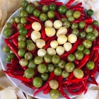 Cây mắc mật ăn lá ( cây siêu khoẻ tốt )