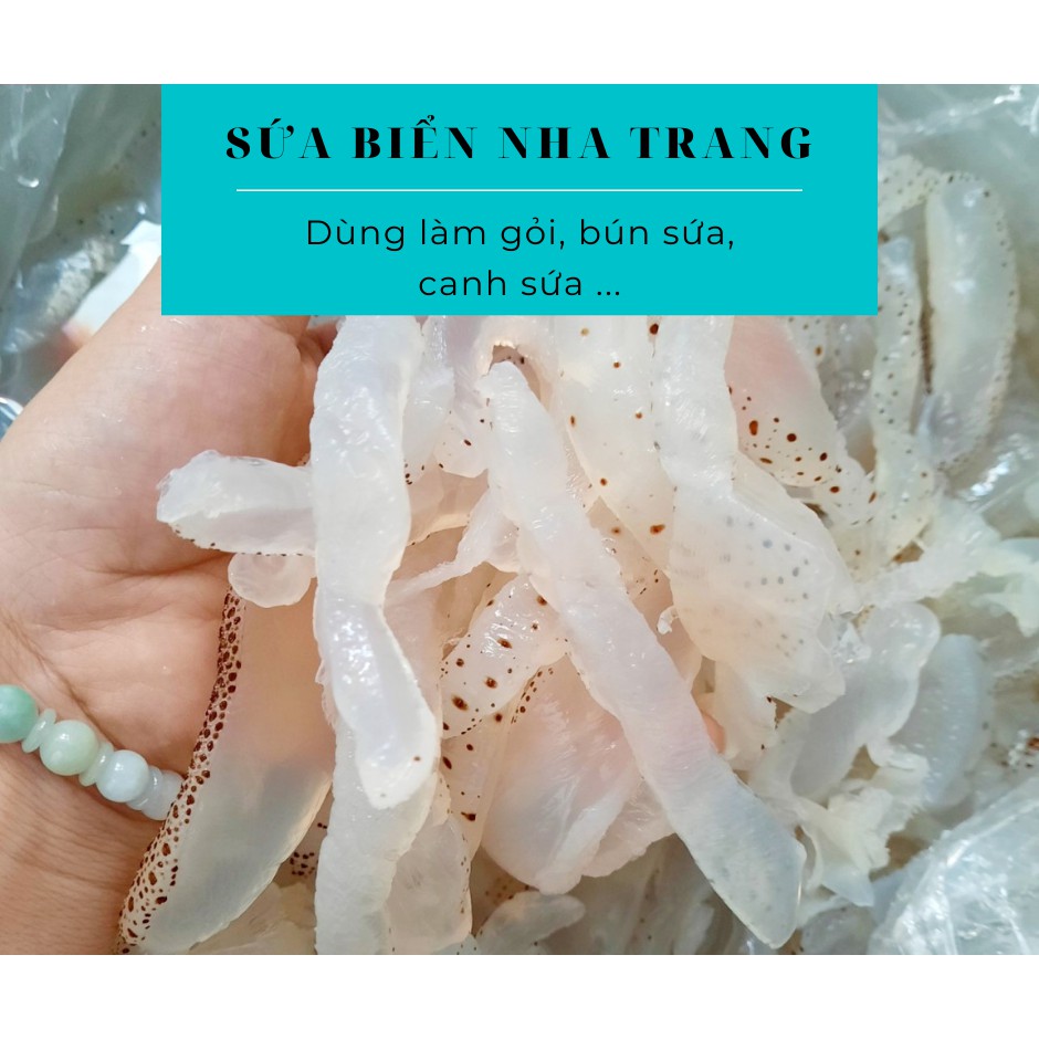 1 KG Sứa biển Nha Trang giòn ngon - Dùng làm gỏi, bún cá sứa, nấu canh, nấu lẩu