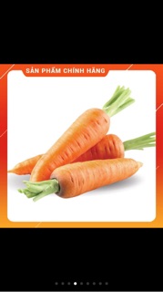 Hạt giống cà rốt  KUDORA 10 gr