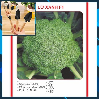 Hạt Giống Súp Lơ Xanh 0.2gr TẶNG BỘ LÀM VƯƠN MINI